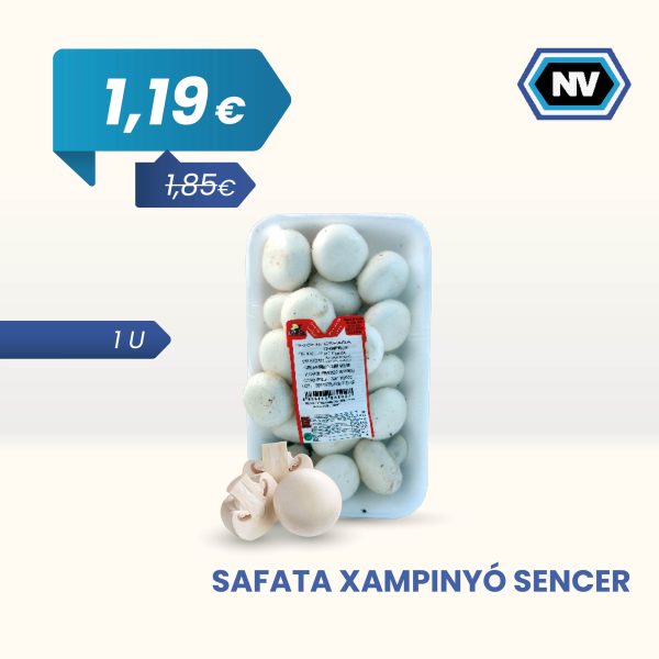 SAFATA XAMPINYÓ SENCER 1 U