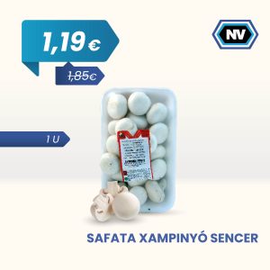 SAFATA XAMPINYÓ SENCER 1 U