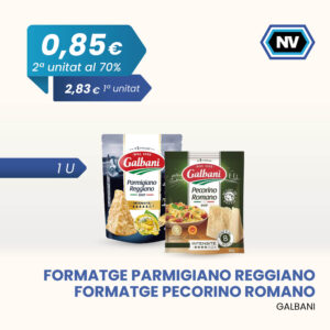 FORMATGE PARMIGIANO REGGIANO / PECORINO ROMANO GALBANI 1 U