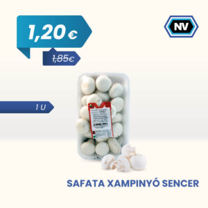 SAFATA XAMPINYÓ SENCER 1 U