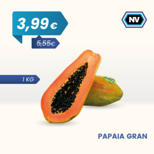 PAPAIA GRAN 1 KG